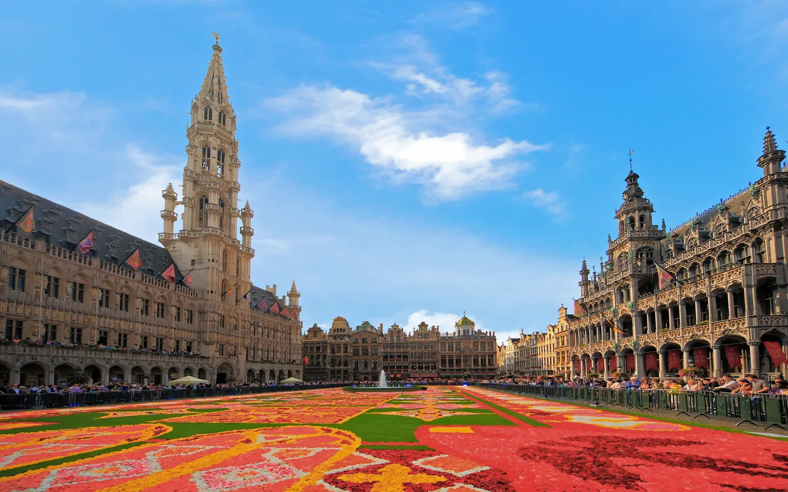 Ornate façades of Brussels' Grand Place